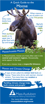 Moose Quick Guide