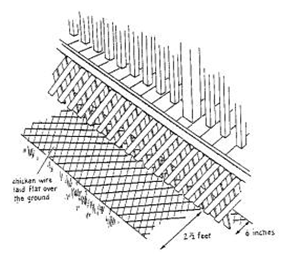 permanent exclusion solution for a skunk