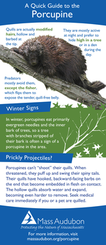 Porcupine Quick Guide