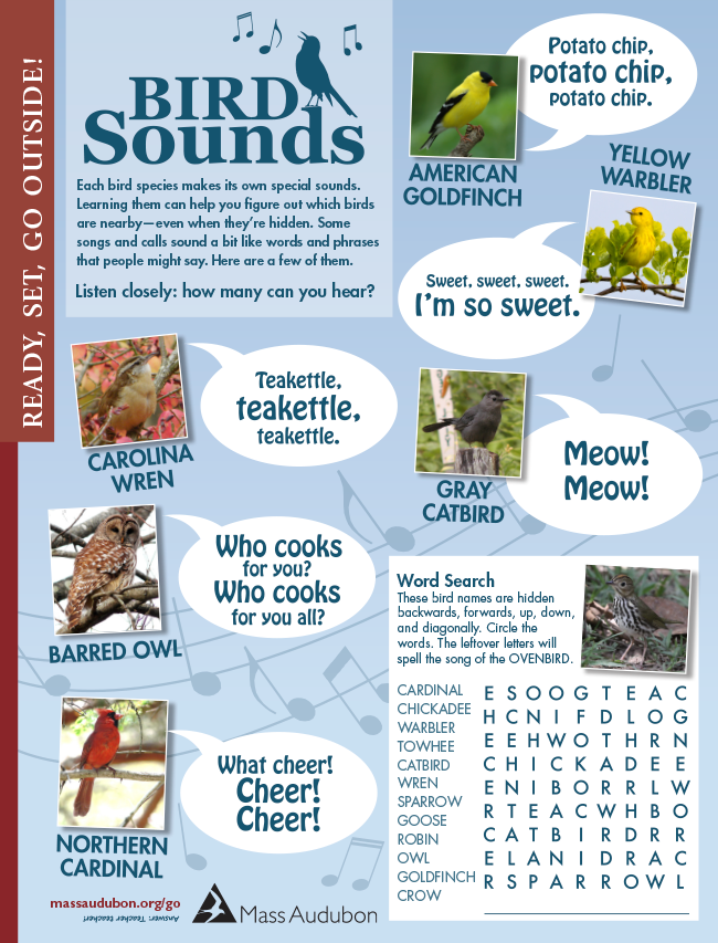 Bird Sounds activity page