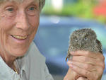 Marj Rines, volunteer at Mass Audubon © Joe Brown