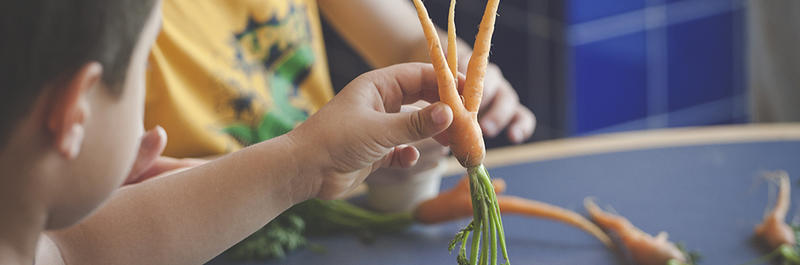 Boy holding up carrots in classroom