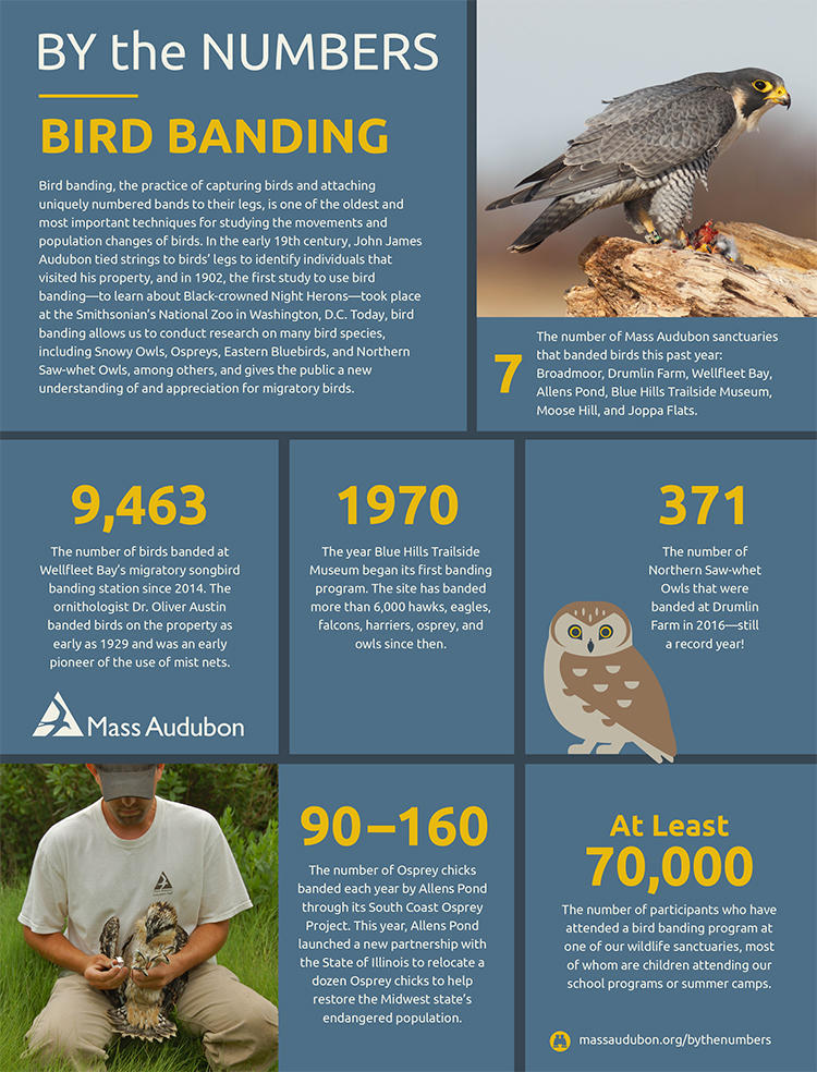 By the Numbers - Bird Banding
