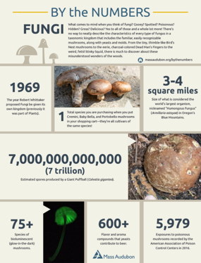 By the Numbers - Fungi