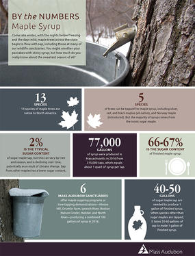 By the Numbers: Maple Sugaring