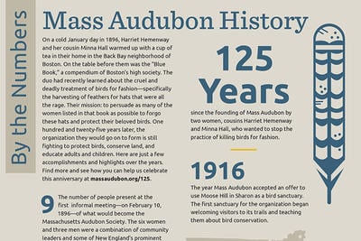 By the Numbers - Mass Audubon History