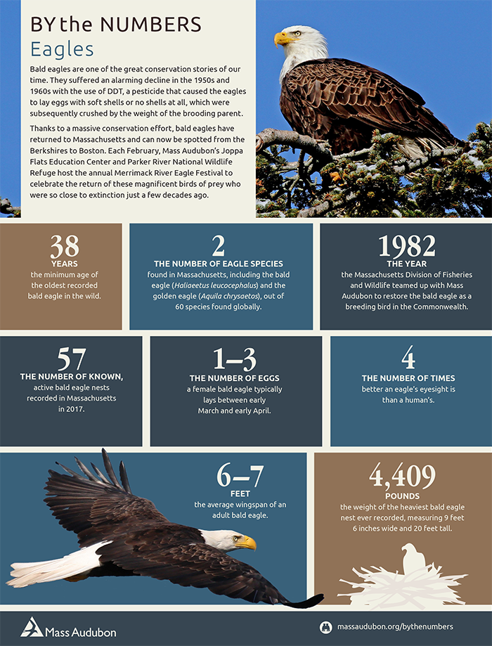 By the Numbers - Eagles