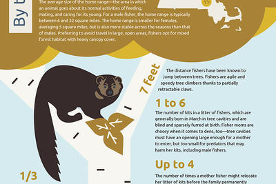 By the Numbers - Fishers