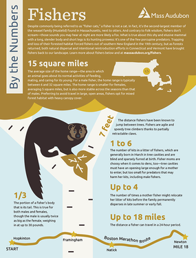 By the Numbers - Fishers