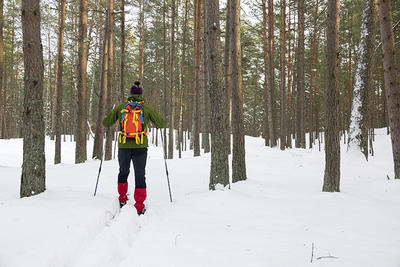 Cross-country Skiing envelops you in winter sounds and sights.