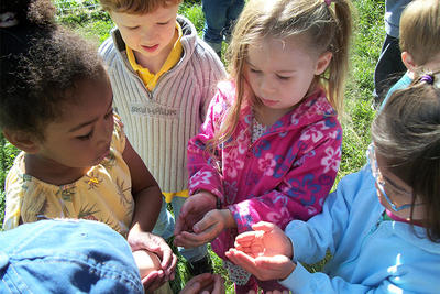 Drumlin Farm preschoolers examine a fresh egg