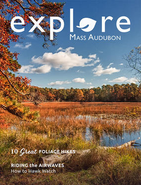 Explore Fall 2016 cover