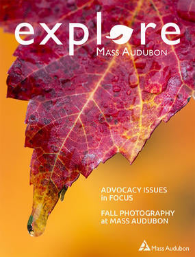 Cover of the Fall 2018 issue of "Explore" (Maple Leaf © Jim Feroli)
