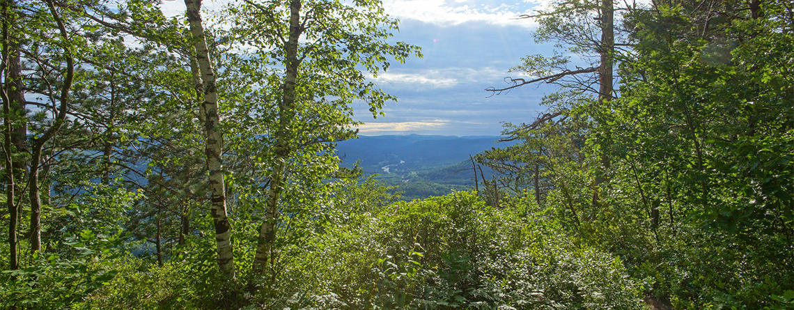 High Ledges overlook view of river valley by Kristin Foresto