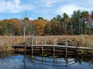 Ipswich River