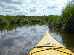 Kayaking Barnstable harbor