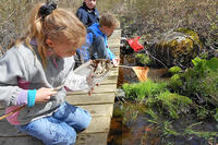 Kids ponding during April Vacation program at Allens Pond Wildlife Sanctuary