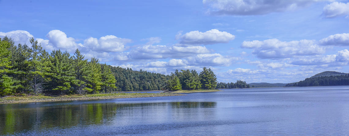 Landscape of a summer lake in New Salem, MA © Rachel Bellenoit