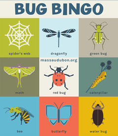 Mass Audubon Bingo Card - Bug Bingo