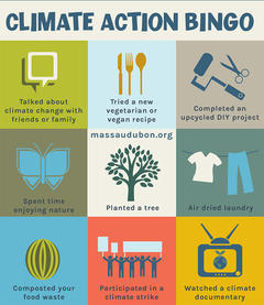 MA Bingo Card - Climate Action Bingo