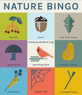 Explore the Outdoors with Nature Bingo