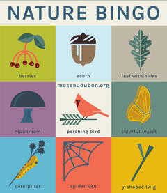 Mass Audubon Bingo Card - Nature Bingo #2