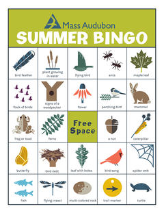 MA Bingo Card - Summer #1