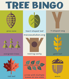 Mass Audubon Bingo Card - Tree Bingo
