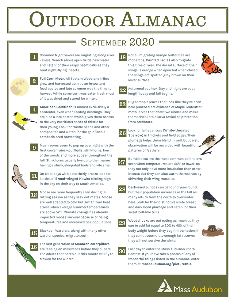 Outdoor Almanac - Summer 2020 - September