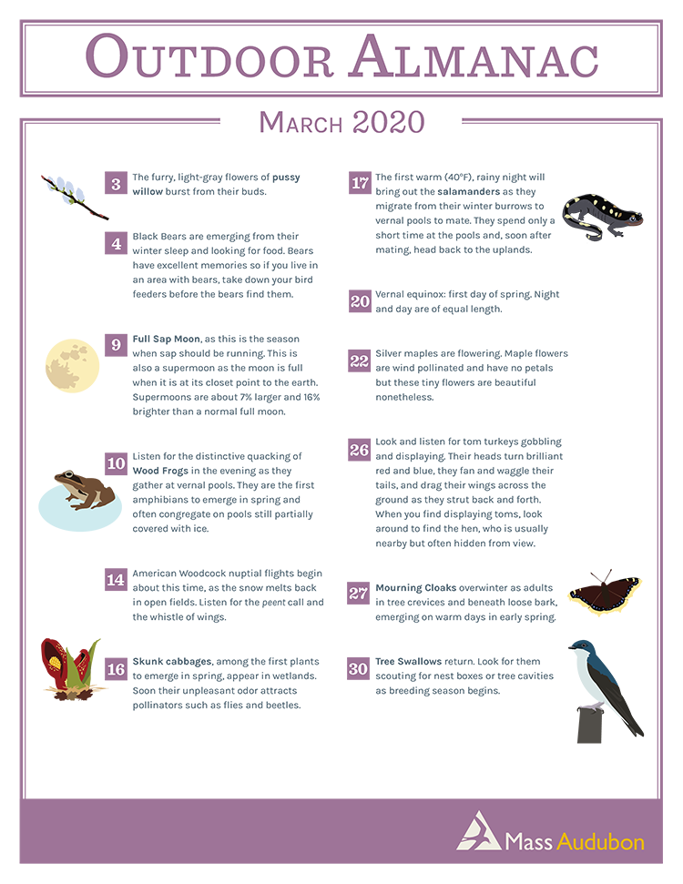 Outdoor Almanac Winter 2020