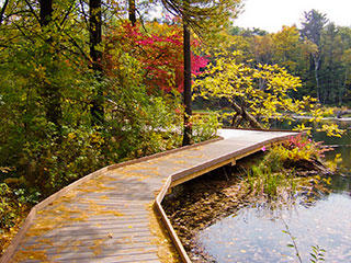 Pleasant Valley boardwalk
