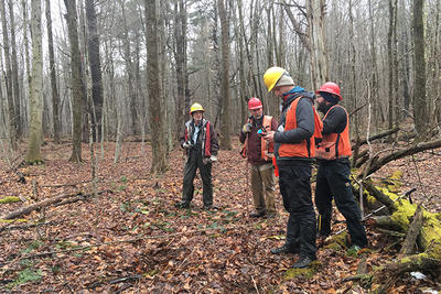 Project consultants work on carbon inventory validation