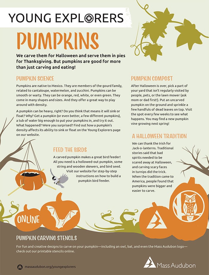 Pumpkins Activity Page