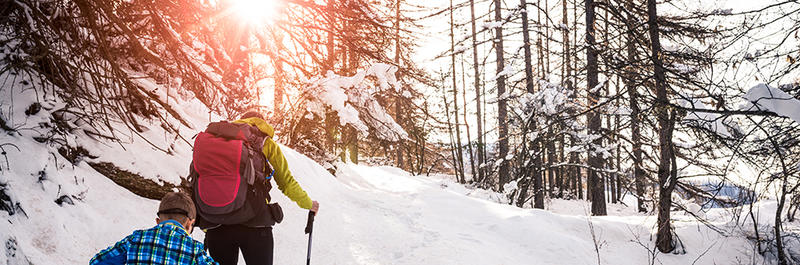 Snowshoeing through the woods