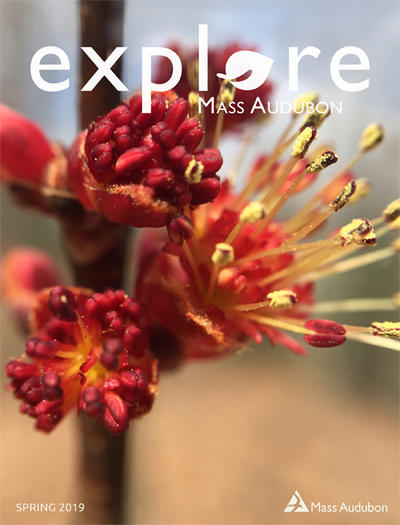 Spring 2019 Explore cover © Matt Cembrola