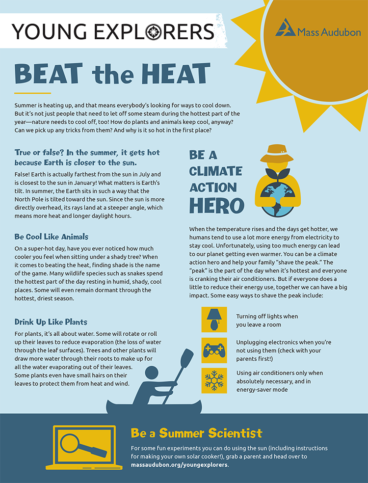 Young Explorers - Beat the Heat activity page