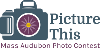 Picture This: Your Great Outdoors Photo Contest 2019