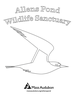 Allens Pond coloring page