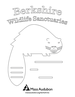 Berkshires coloring page