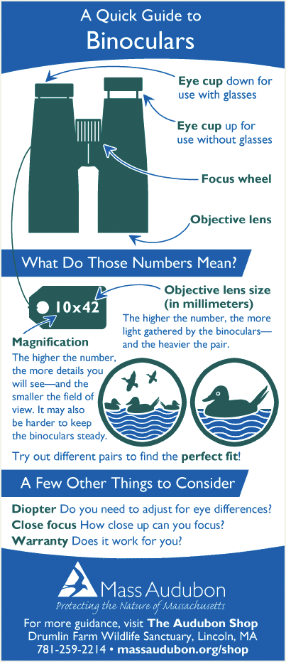 Binoculars quick guide