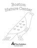 Boston Nature Center coloring page