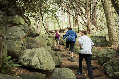 Family hiking up rocky forest trail