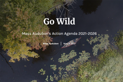 Go Wild StoryMap
