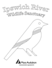 Ipswich River coloring page