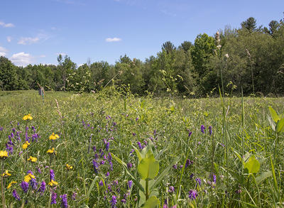 Lake Wampanoag Wildlife Sanctuary