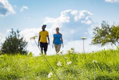 Man and woman walking in a meadow at Drumlin Farm Wildlife Sanctuary