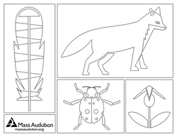 Nature coloring page #3
