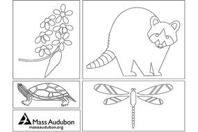 Nature coloring page #4