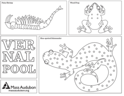 Vernal pool coloring page