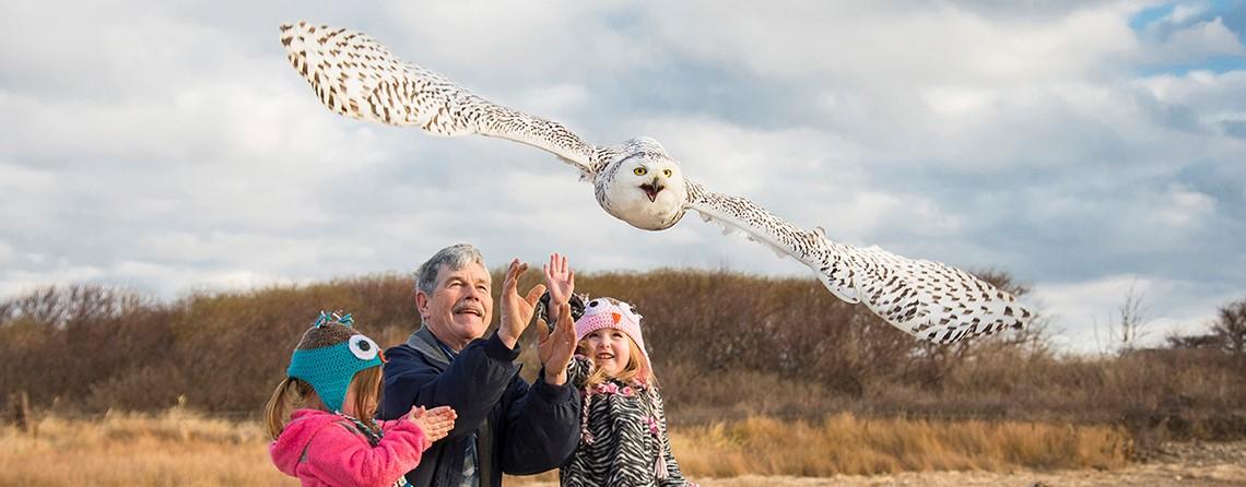 Norman Smith releasing a snowy owl with his granddaughters copyright Raymond MacDonald